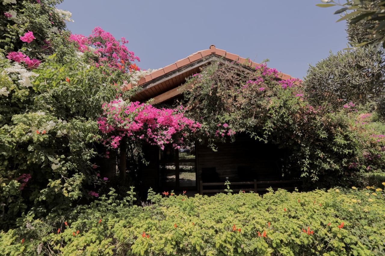 Dar Zitouna Sousse-Tunisie Exterior foto